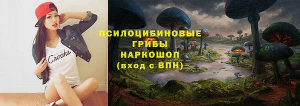 a pvp Алексин